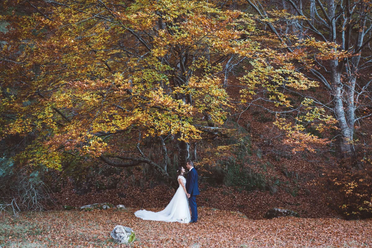Fotografia novios naturaleza . Bosques Asturias - Hayedo de León